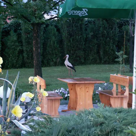 Dolna Bania Hotel Dolna Banya