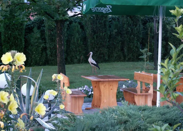 Dolna Bania Hotel Dolna Banya